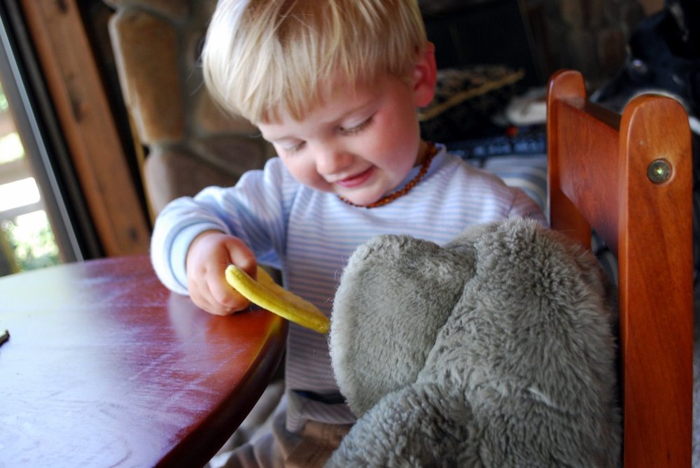 Feeding the elephant.