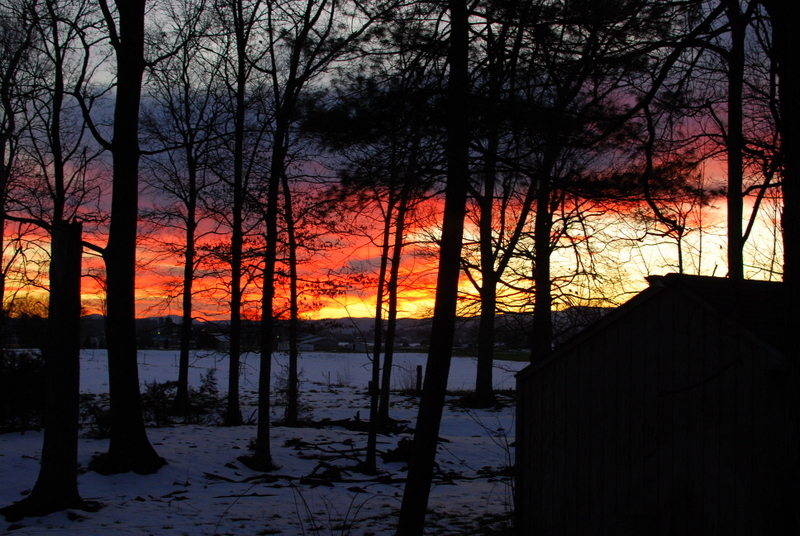 January 31