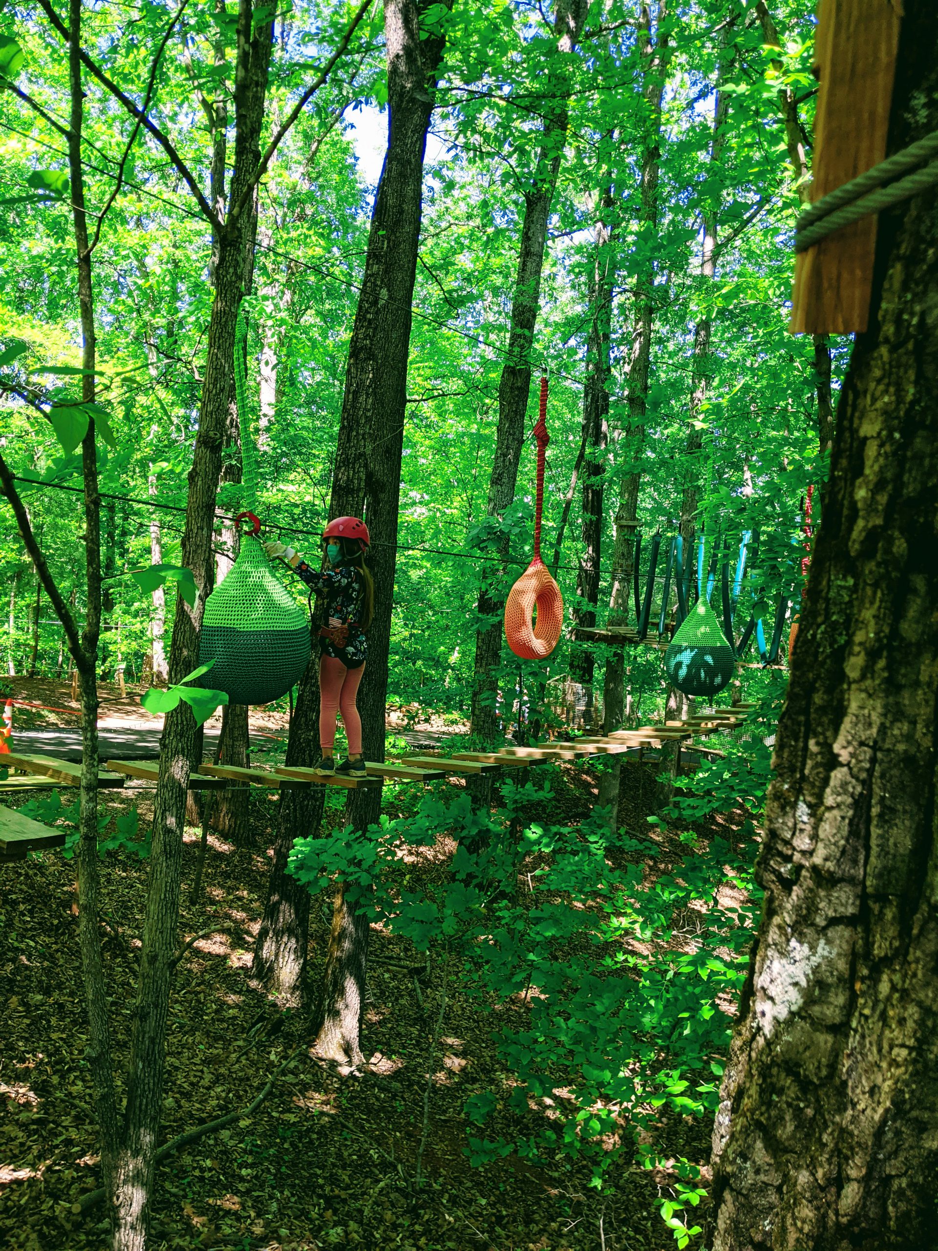 Petra navigates a high ropes challenge