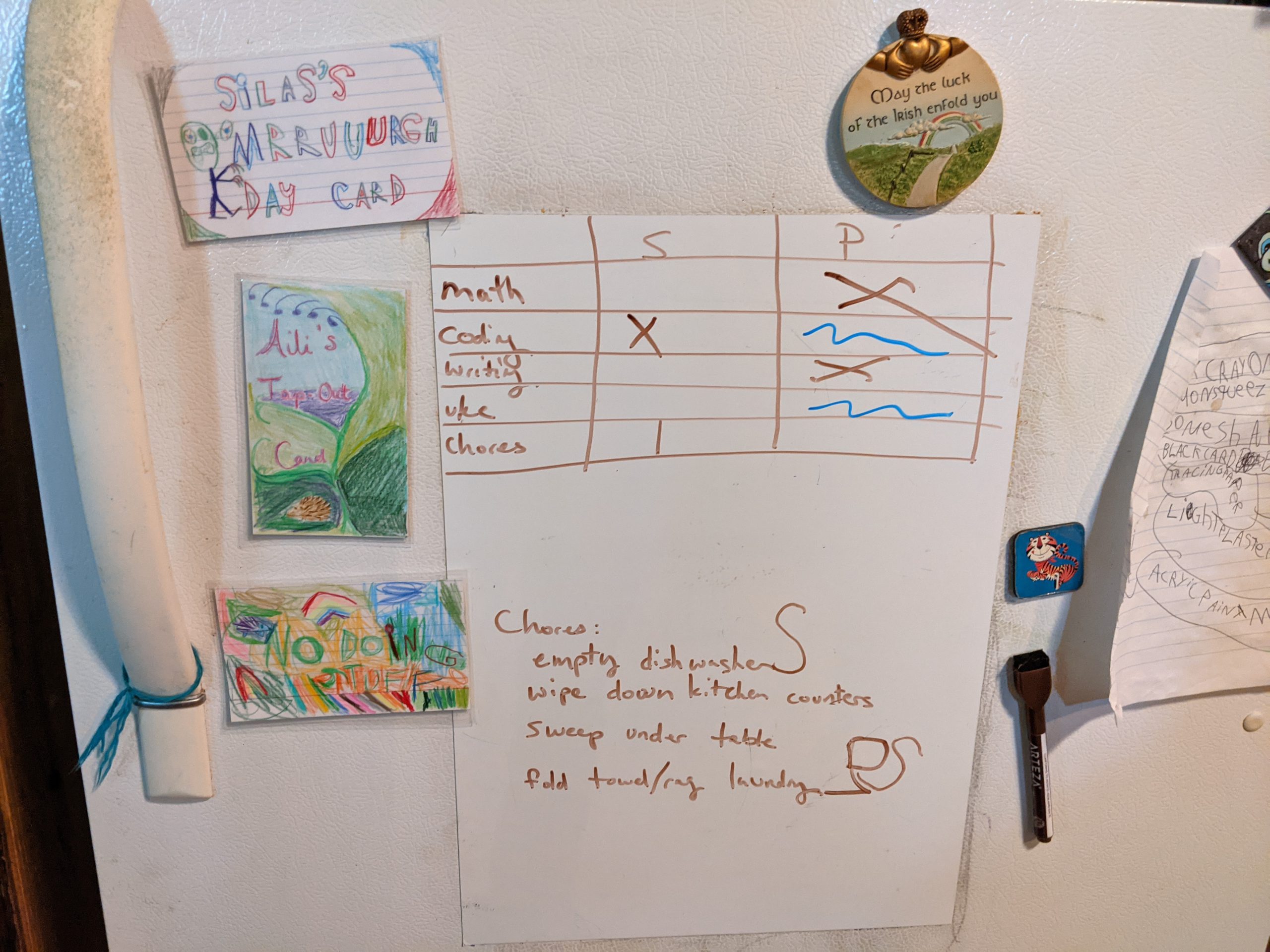 refrigerator with everyone's "nope" cards and our daily checklist on it.