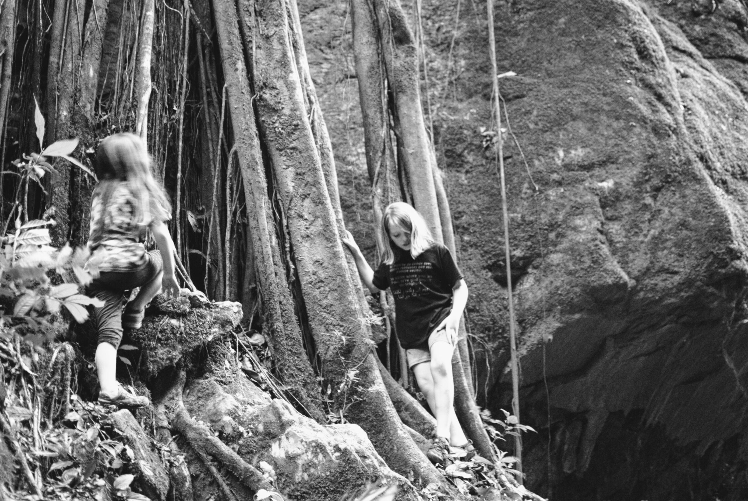 Petra and Silas climbing on a cliff covered in ficus roots