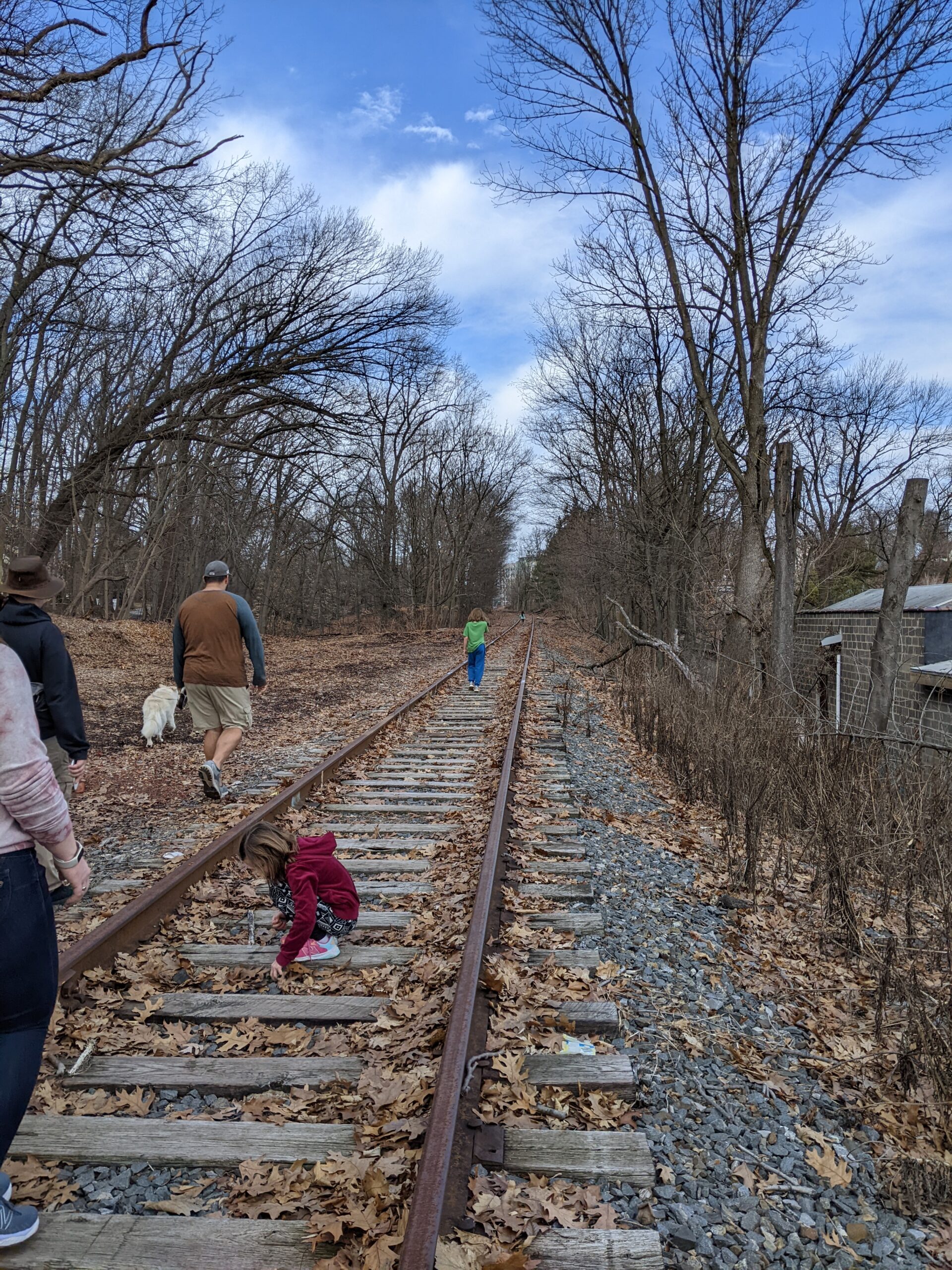 Virgina, JC, Jake, Silas, and Ivory (dog) walking along abandoned railroad tracks. In the middle, Beatrix is looking at something on the ground.