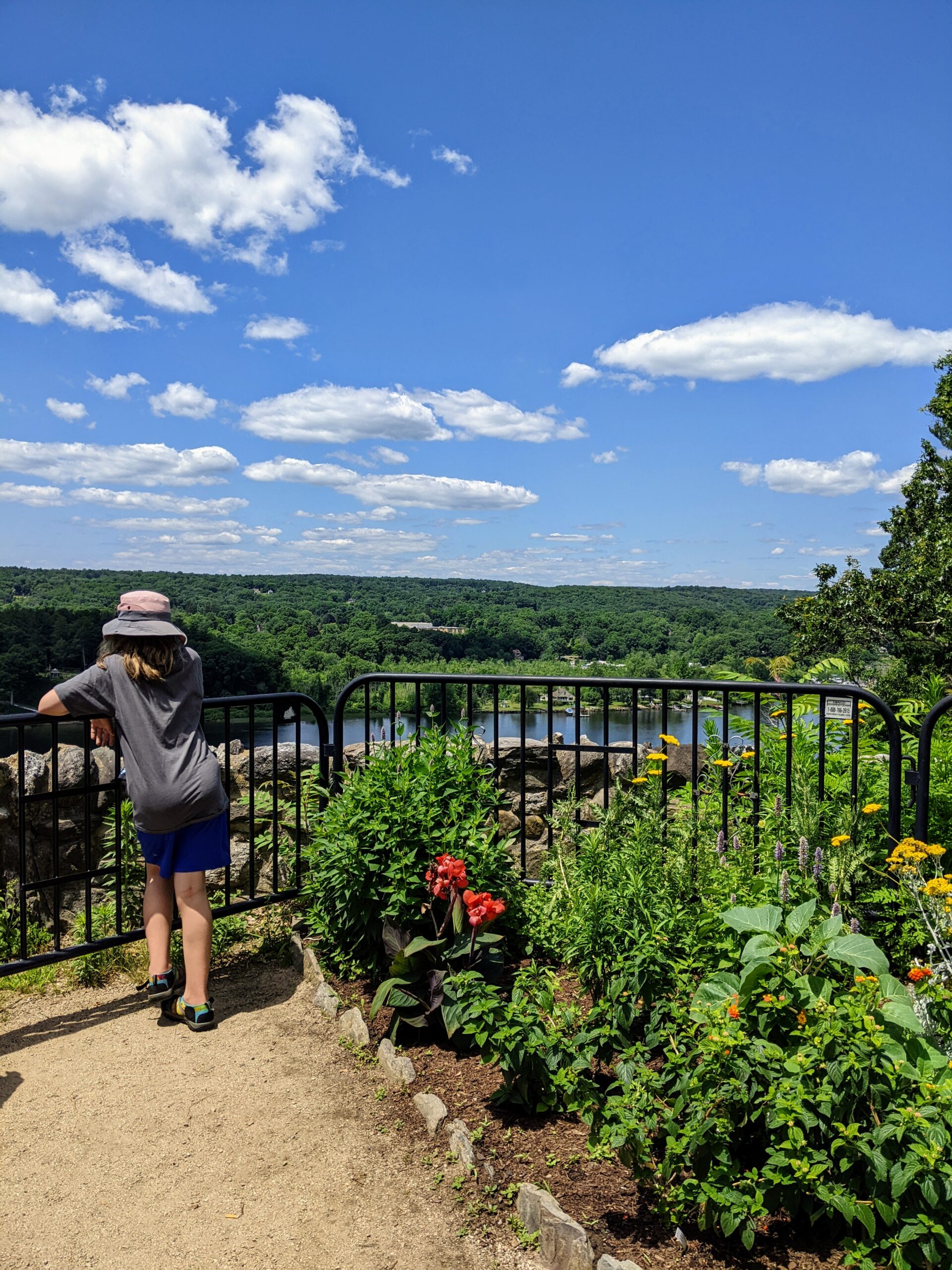 Silas in the garden, looking out at the river
