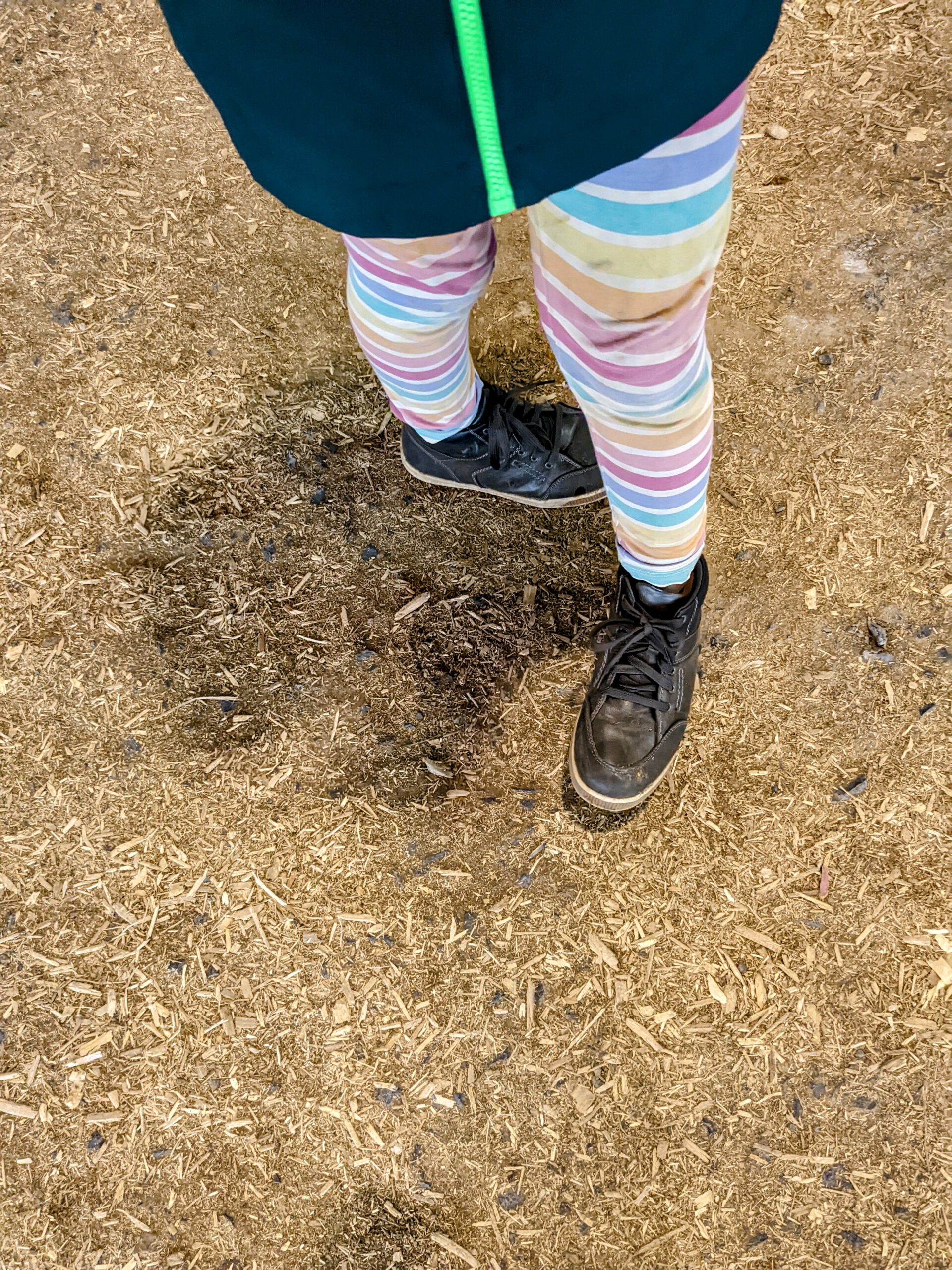 Petra's legs and feet. She is wearing brown leather sneakers.
