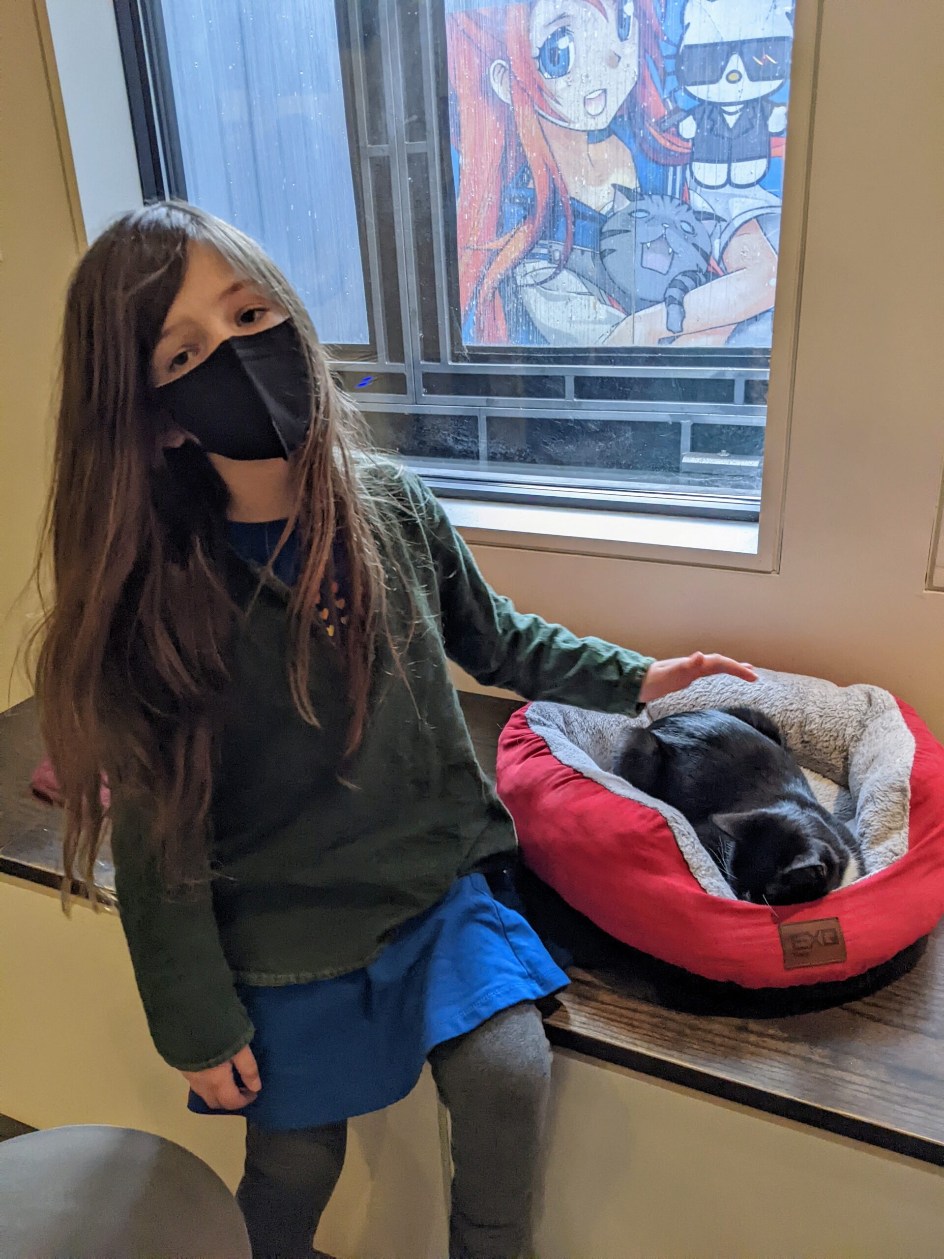 Petra at a cat cafe, petting a cat who is in a cat bed.