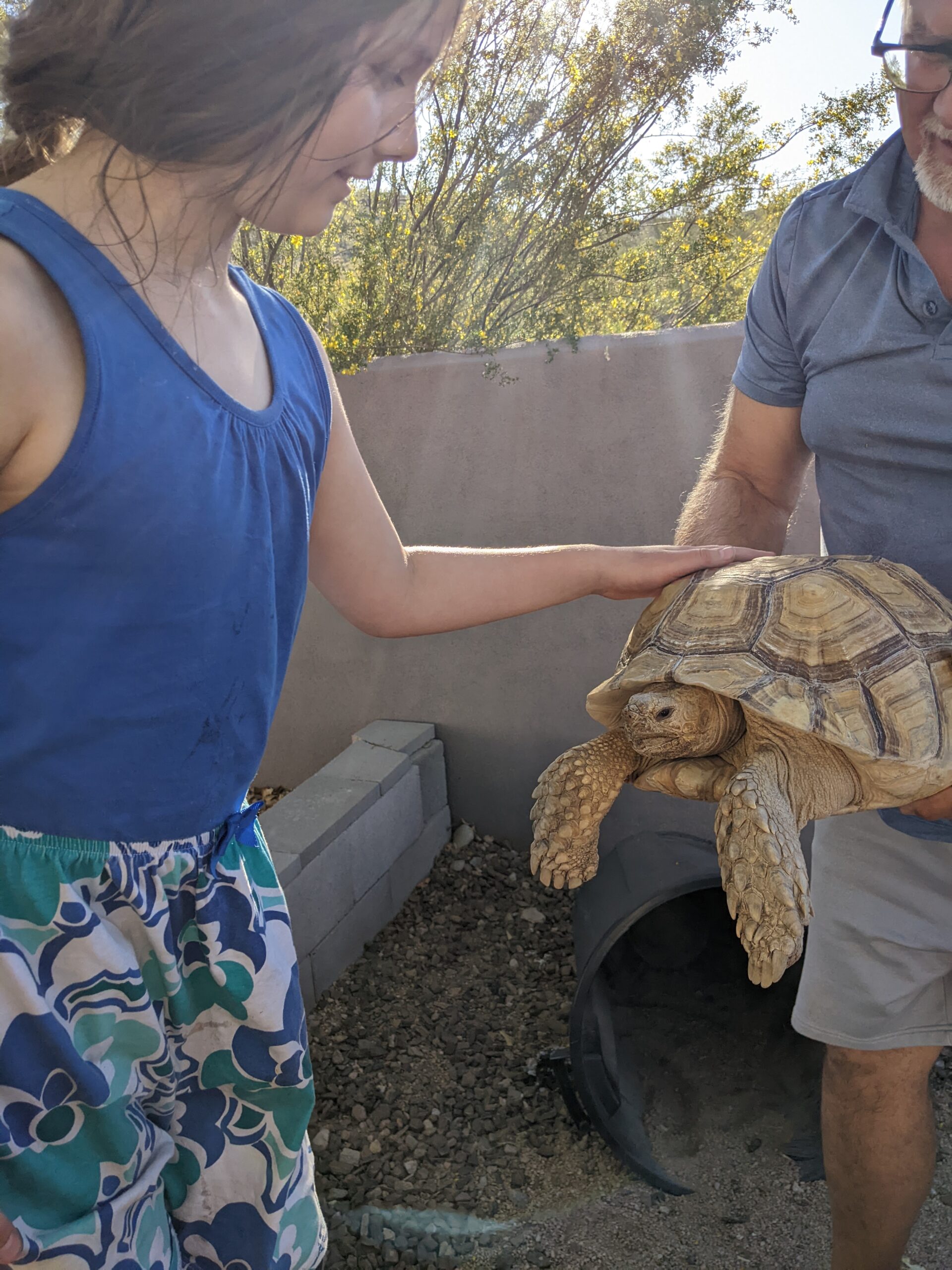 Petra petting a large tortoise, held by an older man
