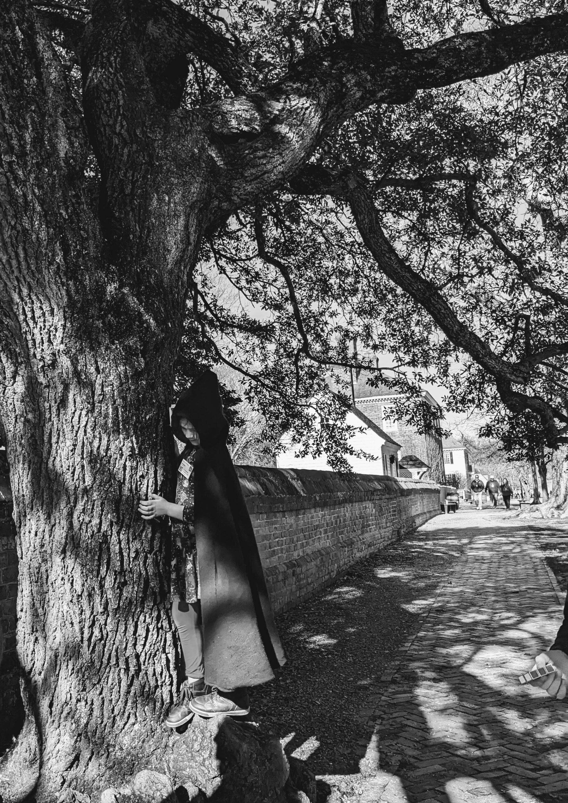 B&W of Petra hugging a tree