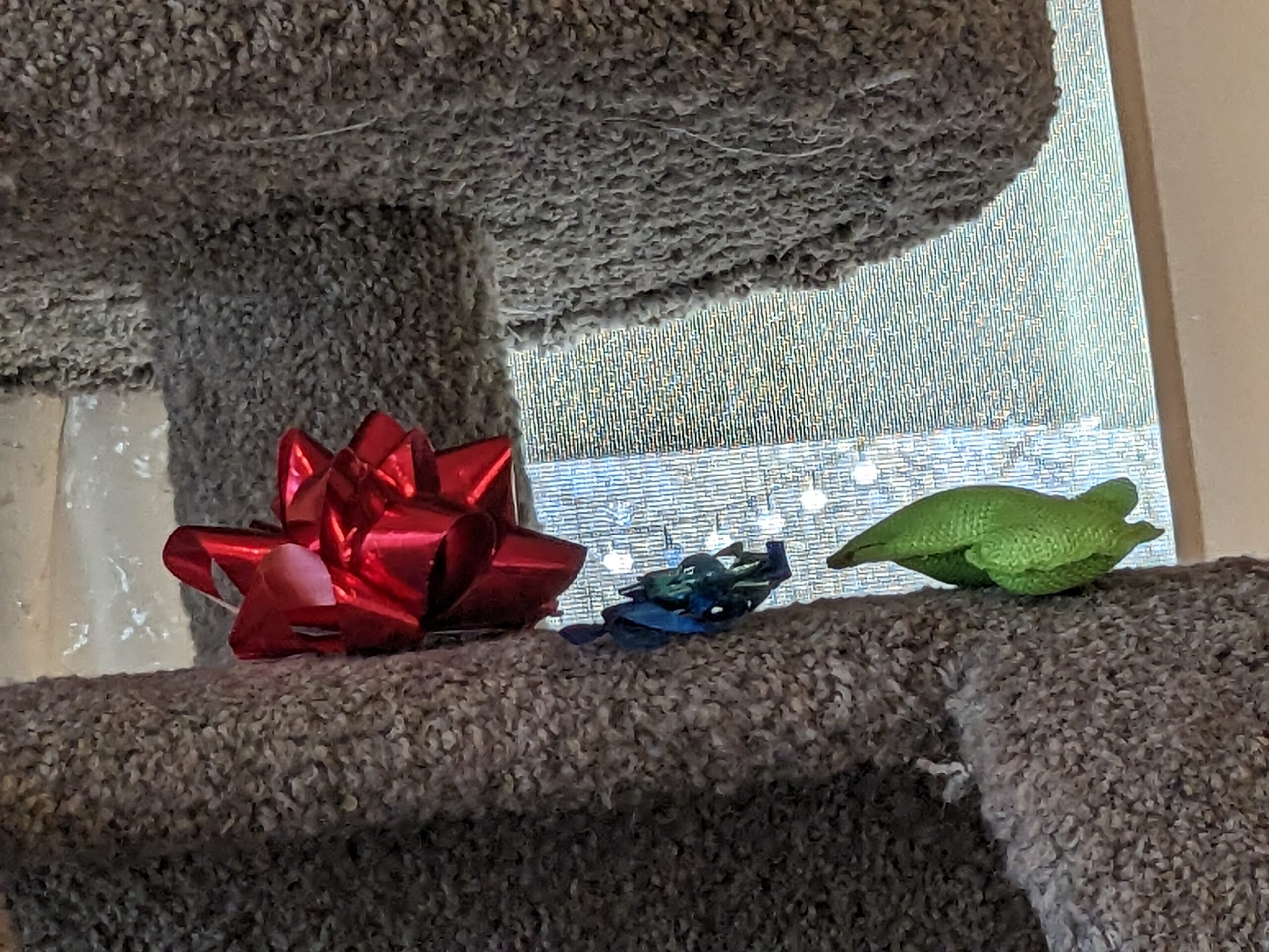bows on a cat tree